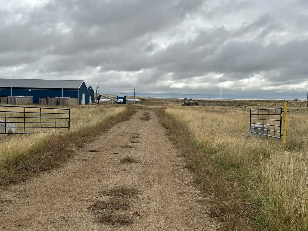 0N Highway 886 W Cereal AB T0J 0N0