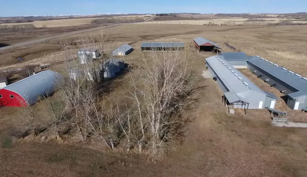 Twp 303 Rural Mountain View County AB T0M 0A0