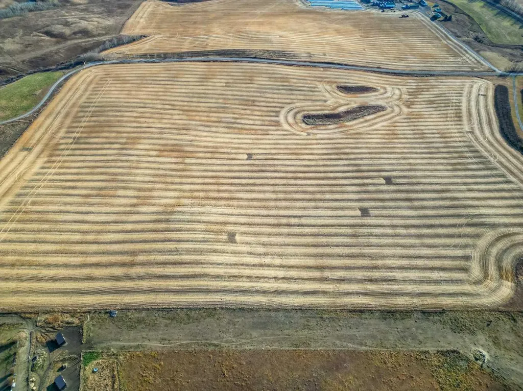 54.28 Acres On 96th Street W Rural Foothills County AB T1S 0V1