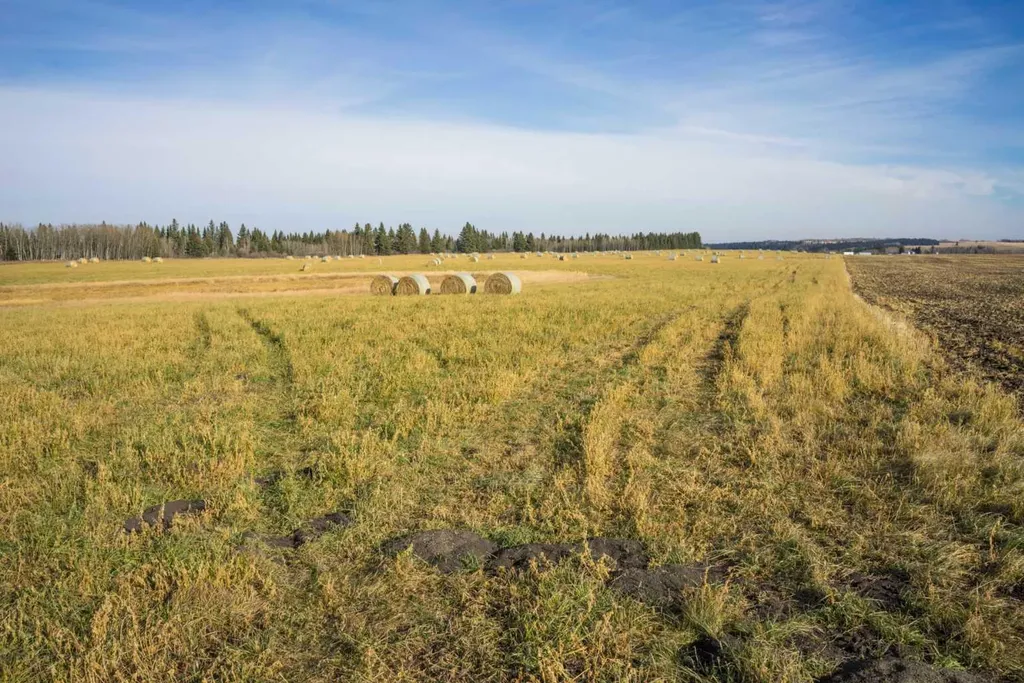 NW;32;22;2;W5M Rural Foothills County AB T1S 0T3