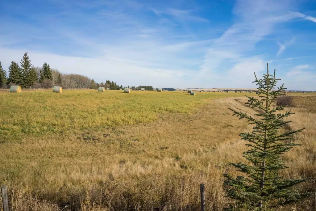 NW;32;22;2;W5M Rural Foothills County AB T1S 0T3