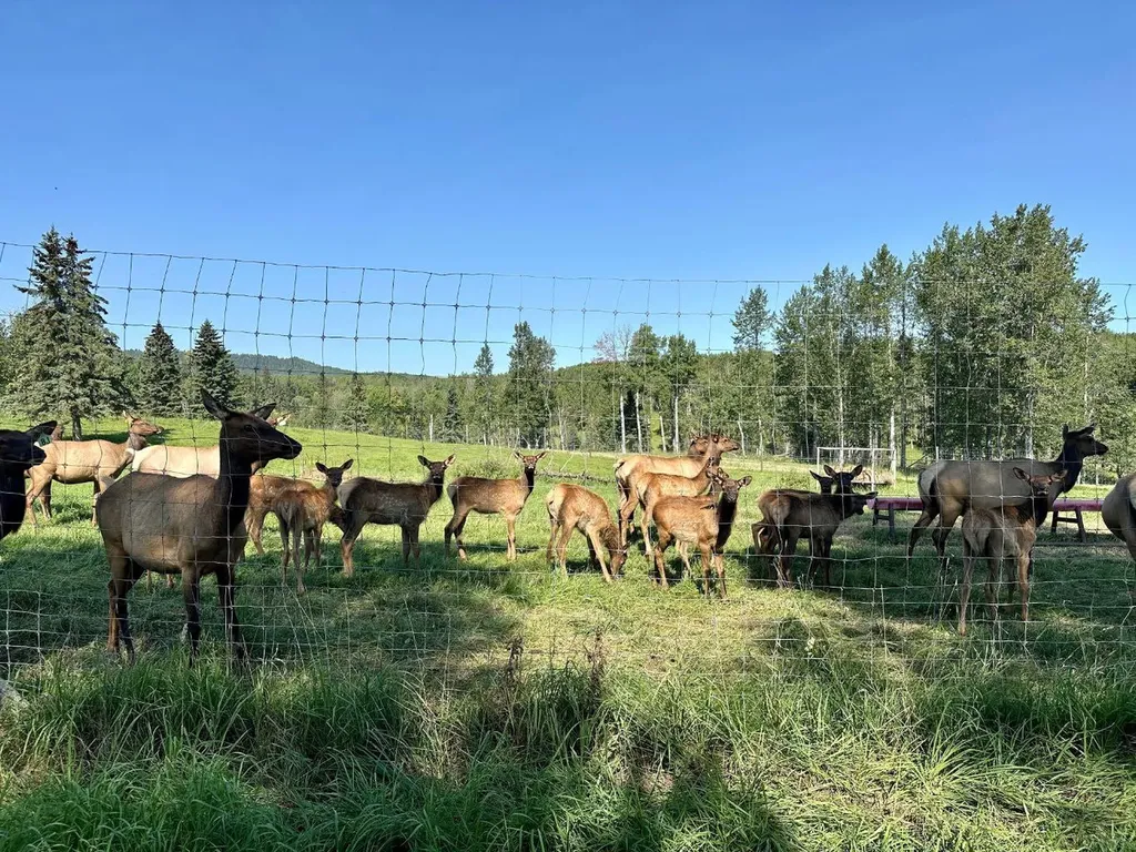 583030A Range Road 121 Rural Woodlands County AB T7S1P5