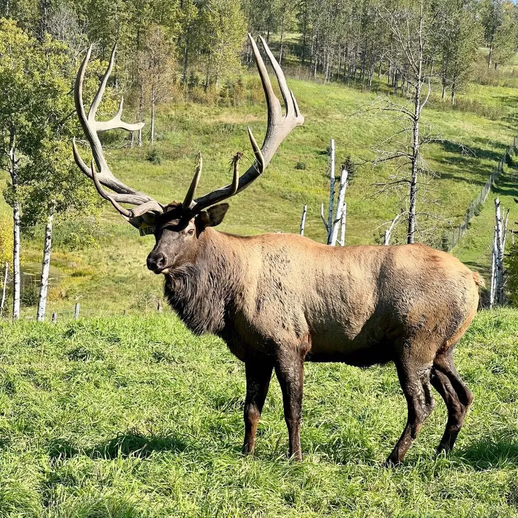 583030A Range Road 121 Rural Woodlands County AB T7S1P5