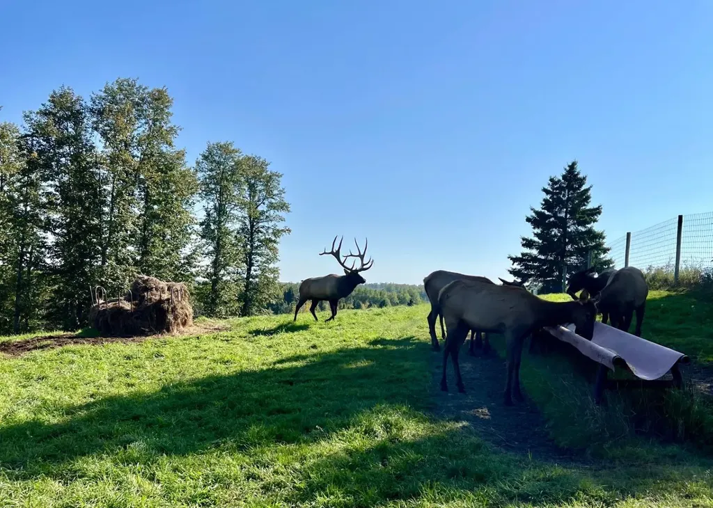 583030A Range Road 121 Rural Woodlands County AB T7S1P5