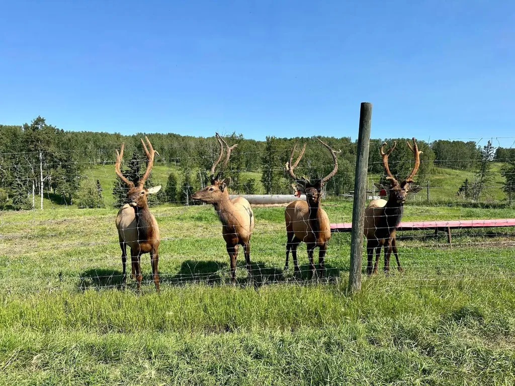 583030A Range Road 121 Rural Woodlands County AB T7S1P5