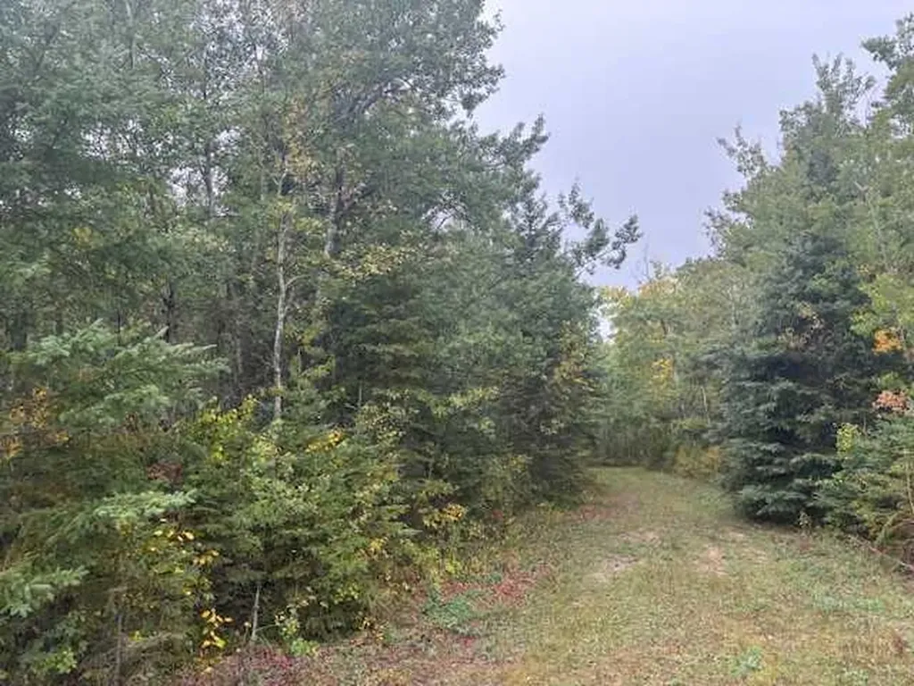 NE 35-54-21 W3 Rural SK S0M1Y0