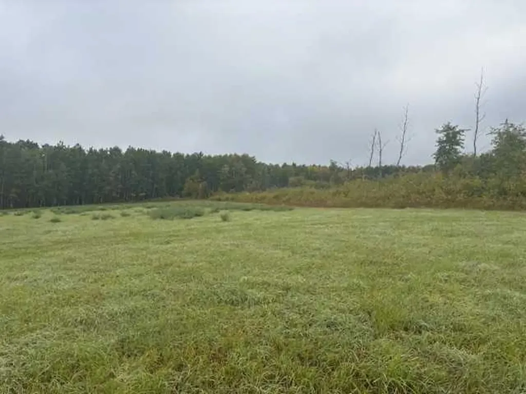 NE 35-54-21 W3 Rural SK S0M1Y0