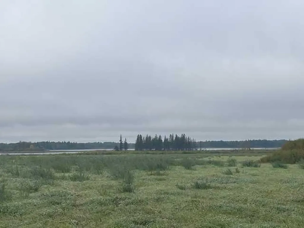 NE 35-54-21 W3 Rural SK S0M1Y0