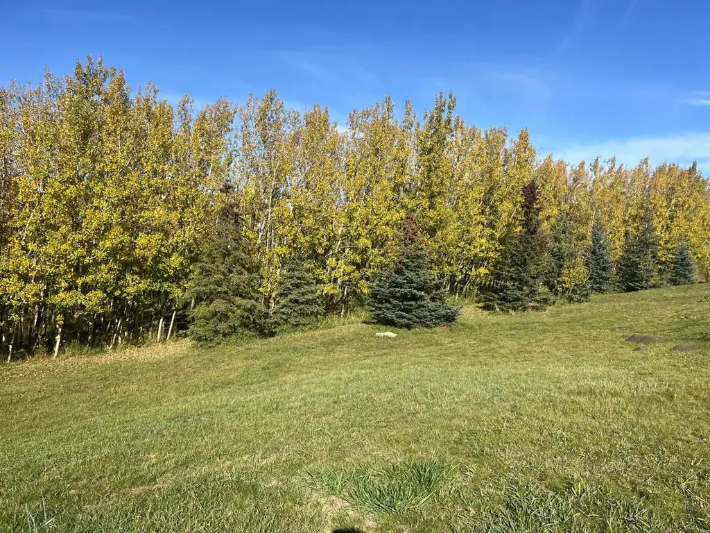 29407 Township Road 3-0 Twin Butte AB T0K1W0