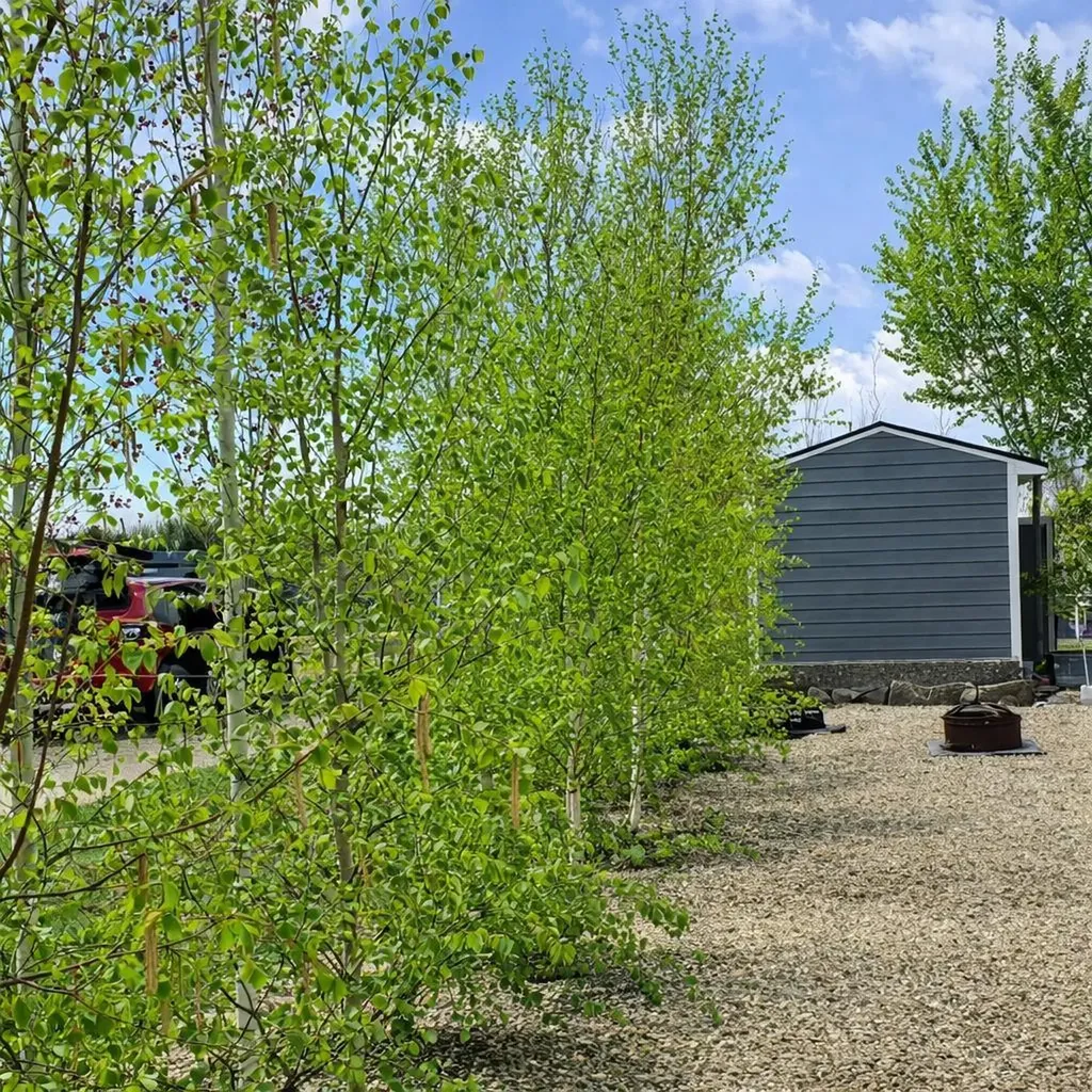 41019 Range Road 11 Rural Lacombe County AB T0C 1J0