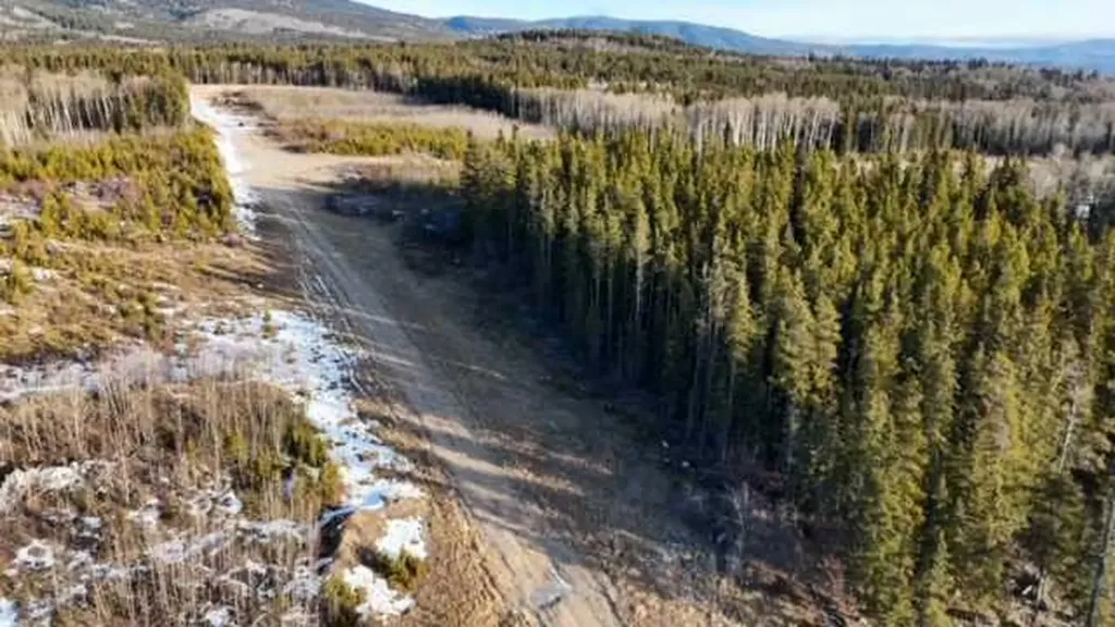 . Mountain Trail Grande Cache AB T0E 0Y0