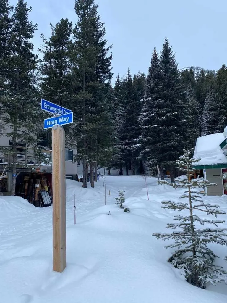 40 Gravenstafel Gate Rural Pincher Creek No. 9 M.d. Of AB T0K1W0