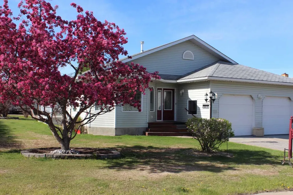 503 5th Avenue NE Manning AB T0H 2M0