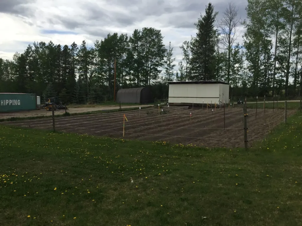 6701 15 Avenue Edson AB T7E 1S3