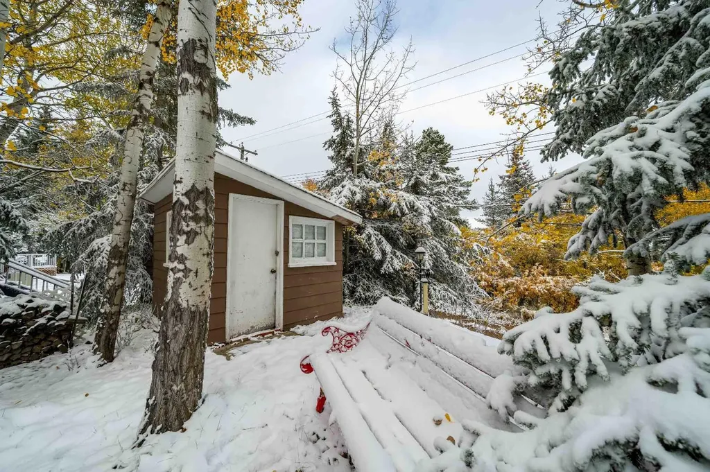 210 6 Avenue Rural Cypress County AB T0J1C0