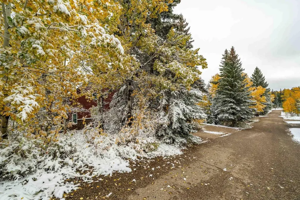 210 6 Avenue Rural Cypress County AB T0J1C0