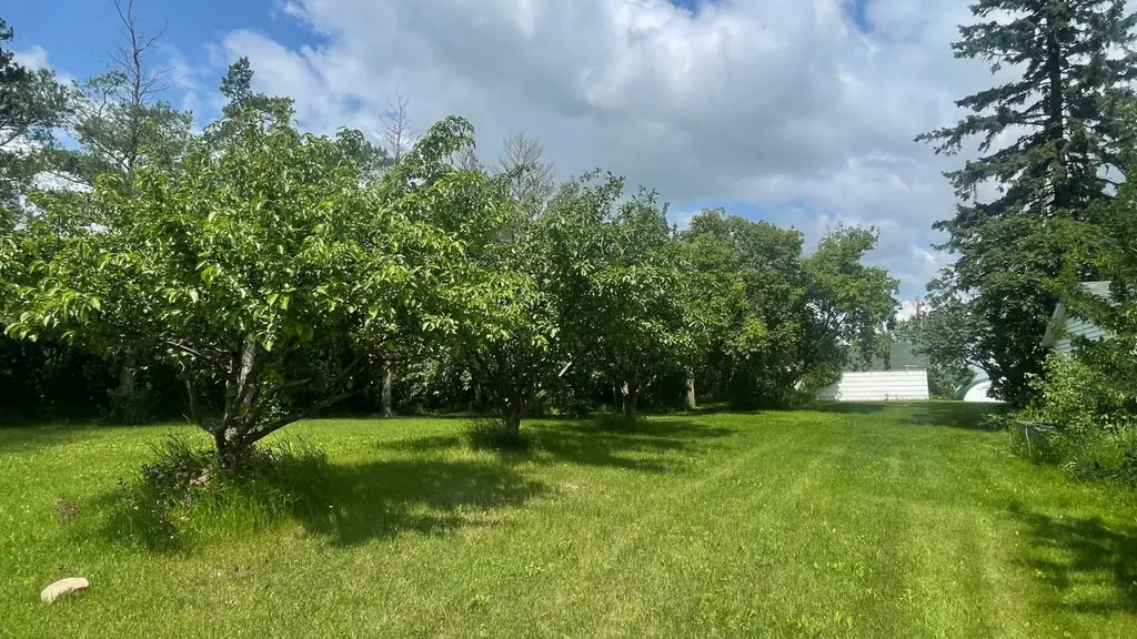#472018 A&b Rural Wainwright No. 61 M.d. Of AB T9W 1T4