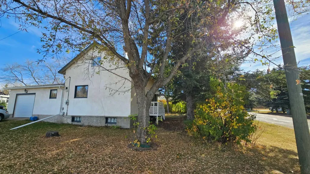 4529 44 Street Castor AB T0C 0X0