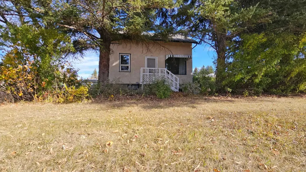 4529 44 Street Castor AB T0C 0X0
