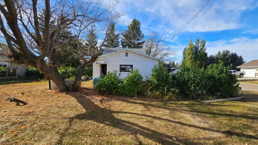 4529 44 Street Castor AB T0C 0X0