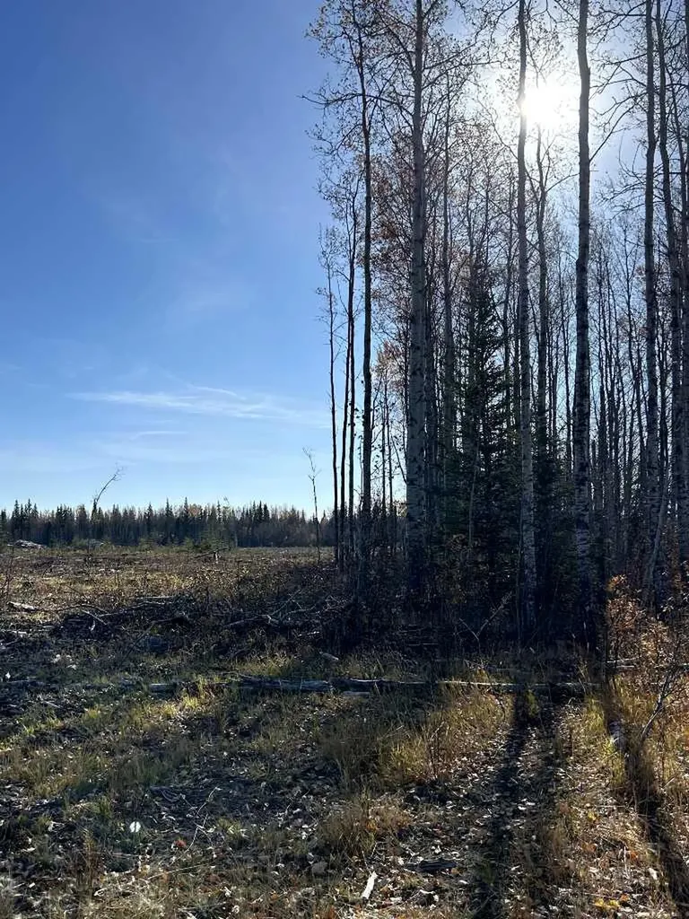 SW 16-83-2-w6 Rural Clear Hills County AB T0H 0J0