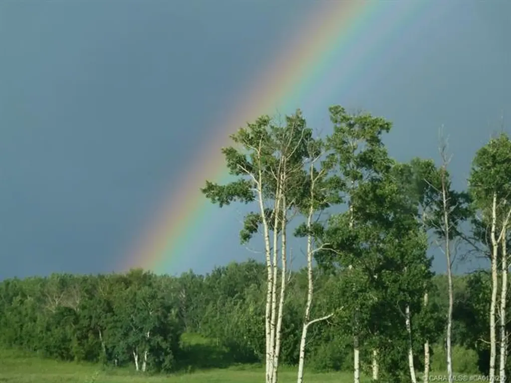 420069 Range Road 284 Rural Ponoka County AB T4J 1R3