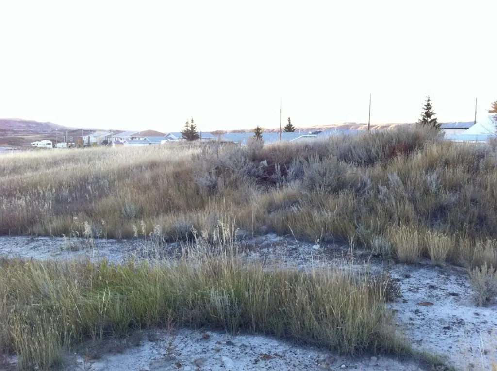 NW-02-029-20W4M NW Other Drumheller AB T0J 0Y0