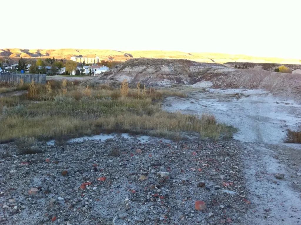 NW-02-029-20W4M NW Other Drumheller AB T0J 0Y0