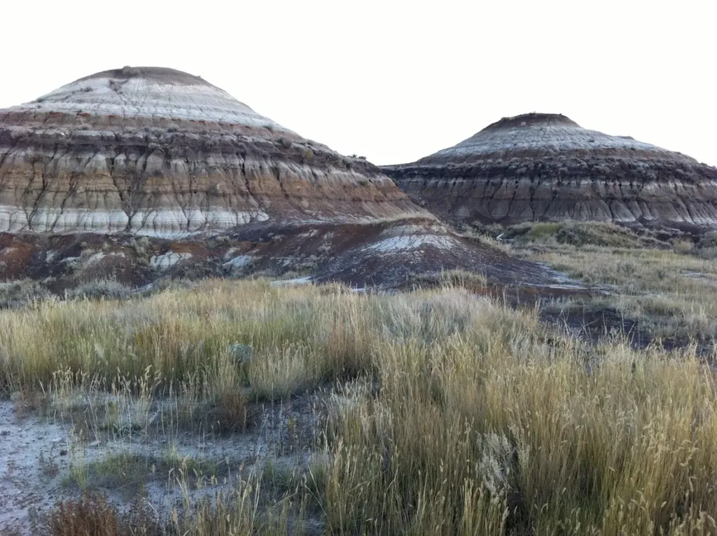 NW-02-029-20W4M NW Other Drumheller AB T0J 0Y0