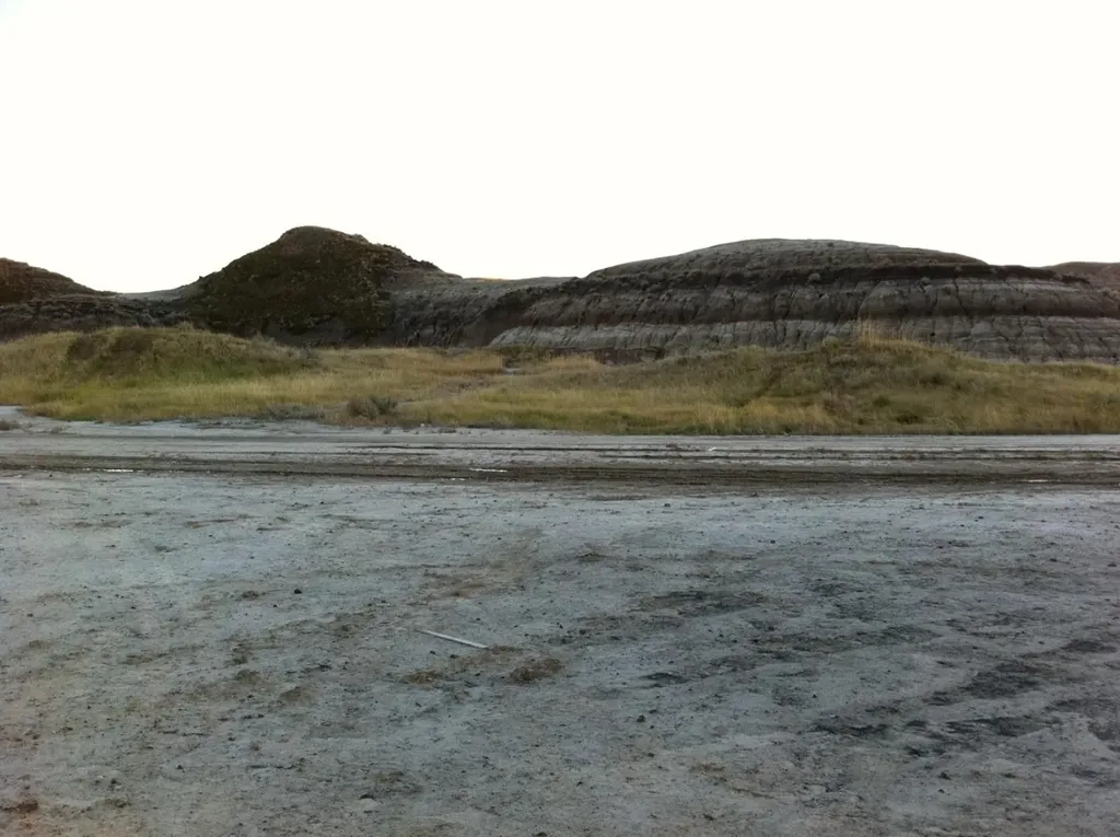 NW-02-029-20W4M NW Other Drumheller AB T0J 0Y0