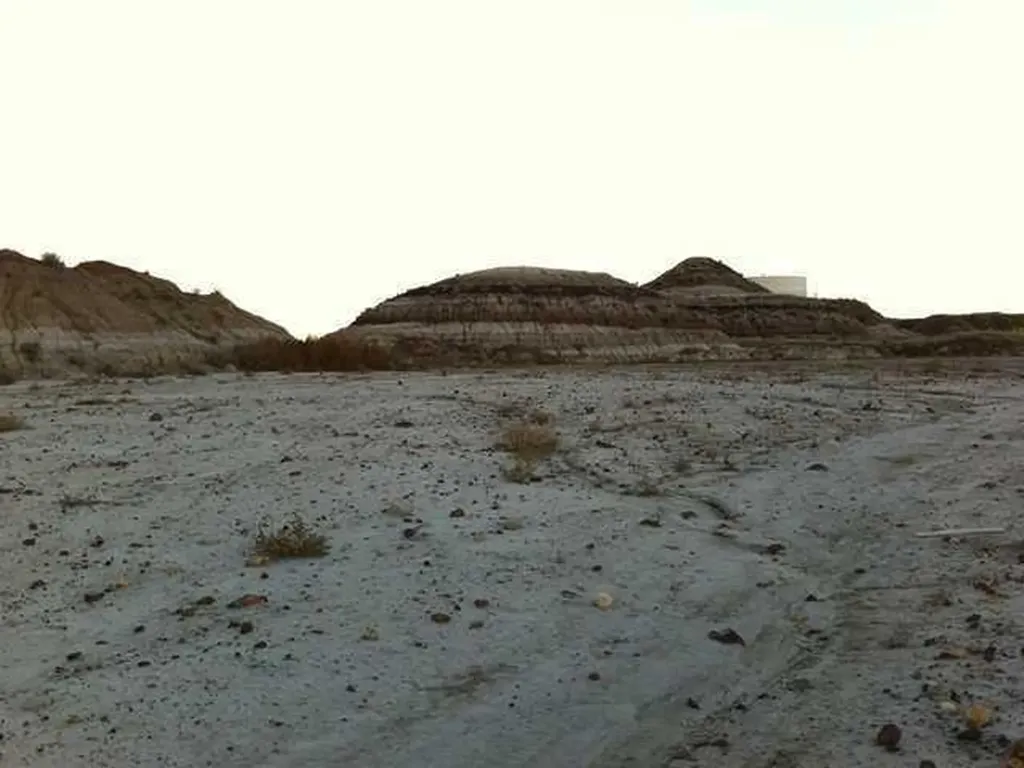 NW-02-029-20W4M NW Other Drumheller AB T0J 0Y0