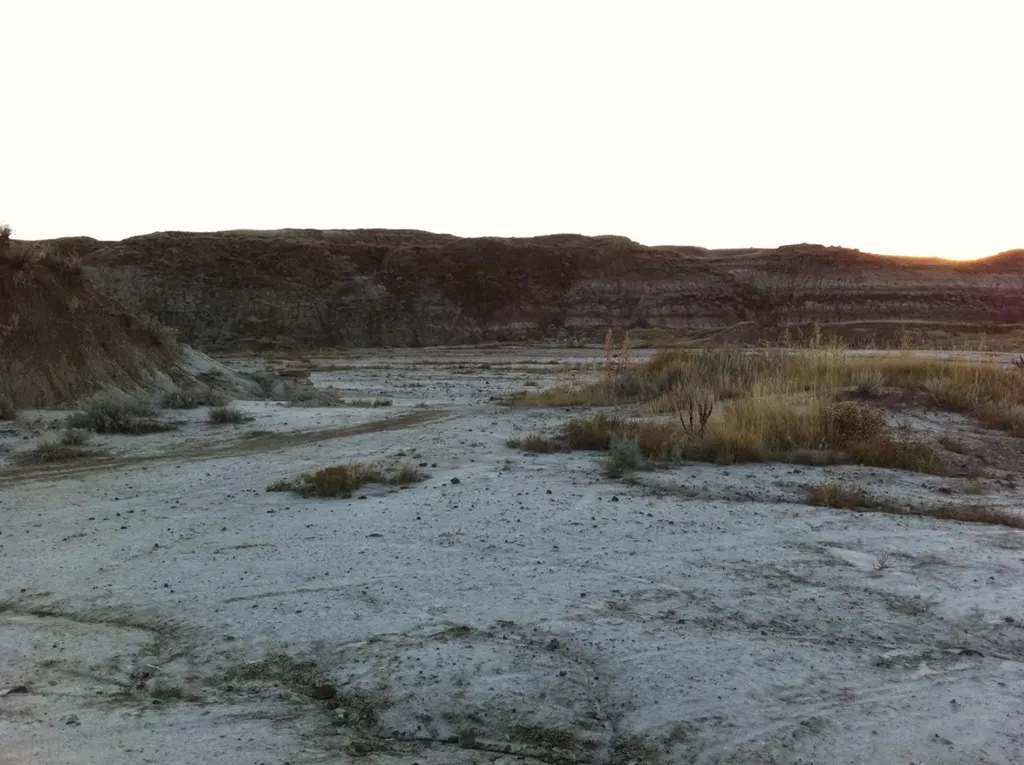 NW-02-029-20W4M NW Other Drumheller AB T0J 0Y0