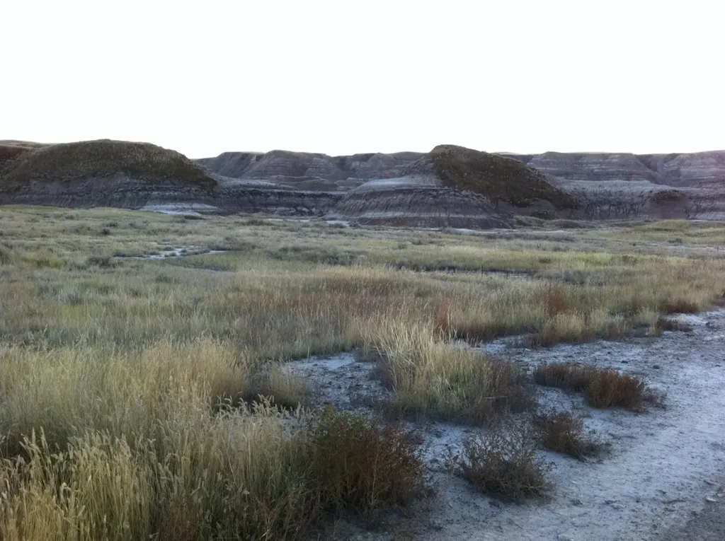 NW-02-029-20W4M NW Other Drumheller AB T0J 0Y0