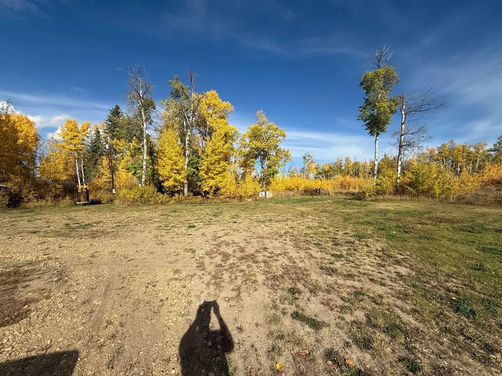 4081 Township Road 792 Rycroft AB T0H3A0