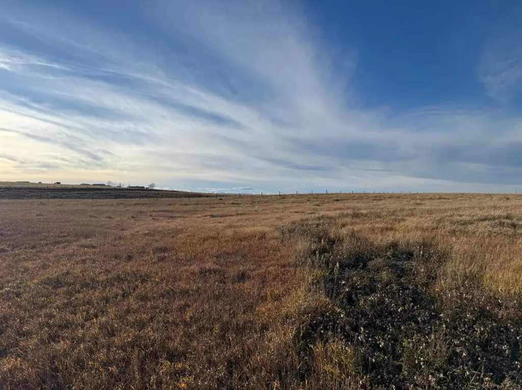 40 Street East Rural Foothills County AB T1V 1P3
