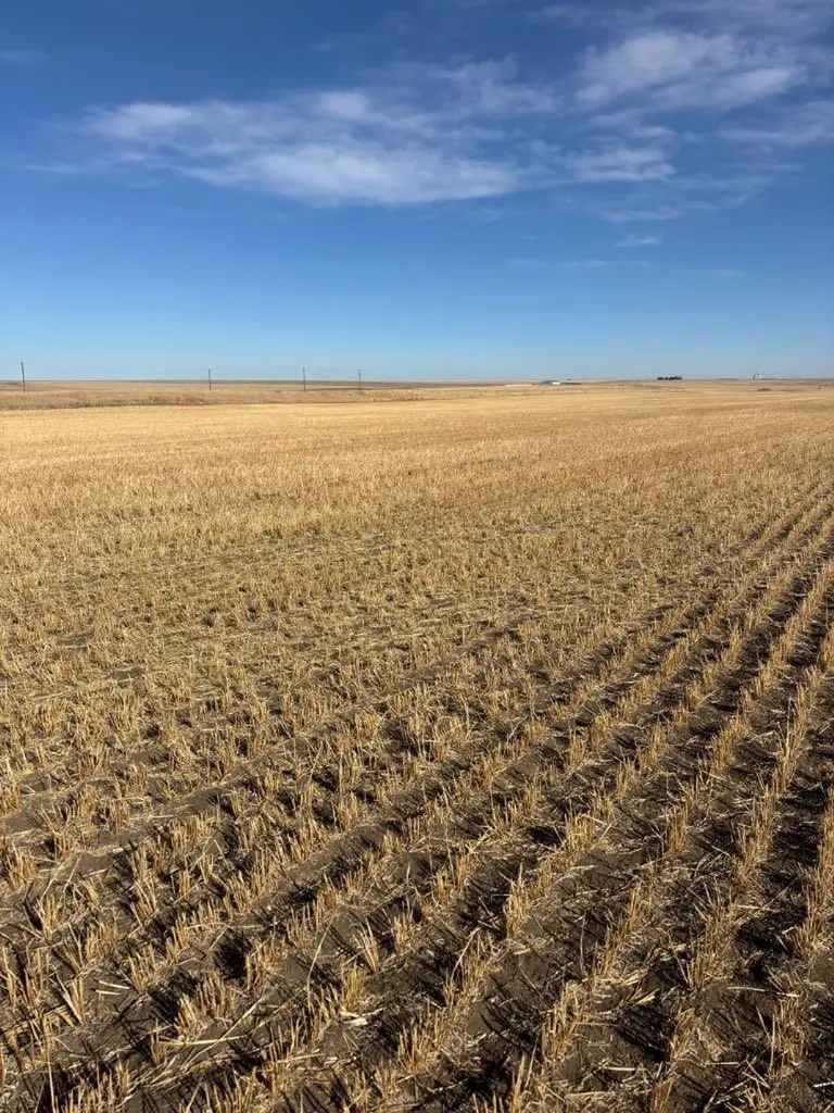 Barons AB, on Rr 224