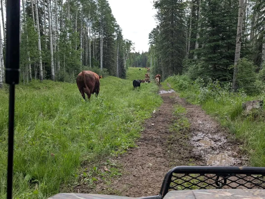 8 Range Road Rocky Mountain House AB T0M0M0