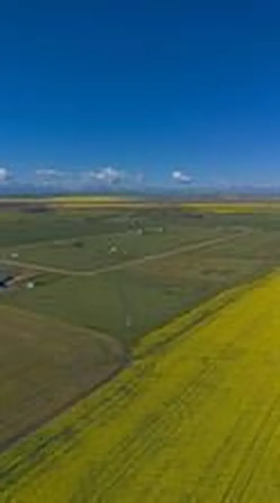 1 Susquehanna Avenue Rural Cardston County AB T0K 0K0