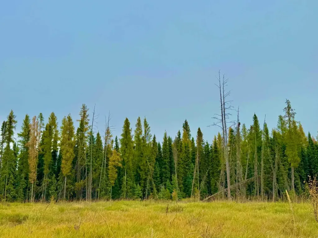 400 Valley View Close Rural Clearwater County AB T4T 1A7