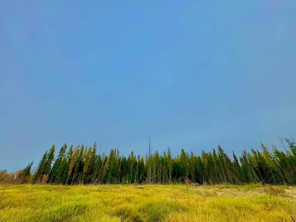400 Valley View Close Rural Clearwater County AB T4T 1A7