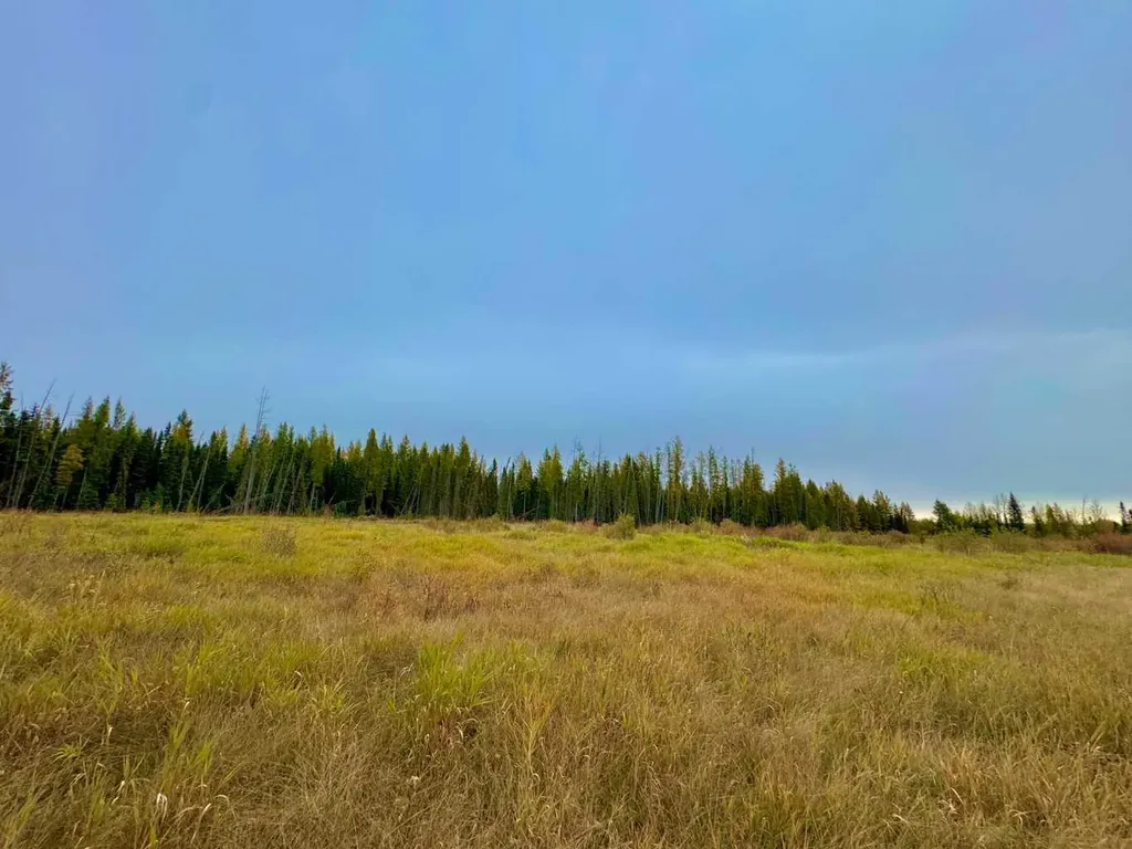 400 Valley View Close Rural Clearwater County AB T4T 1A7