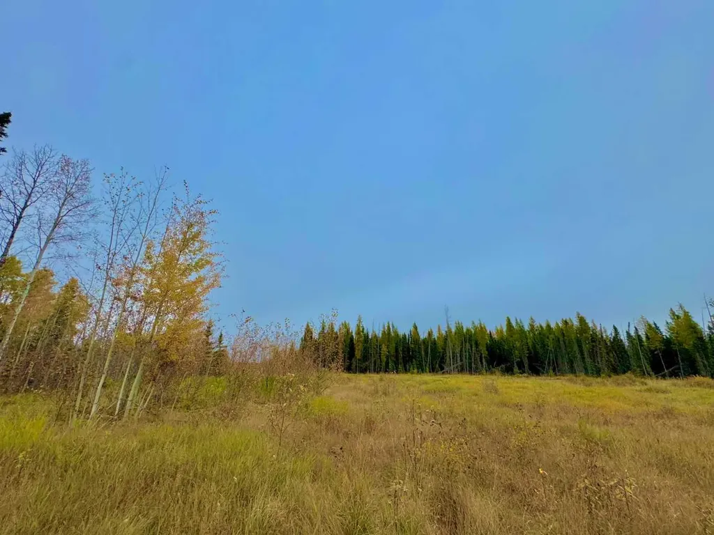 400 Valley View Close Rural Clearwater County AB T4T 1A7