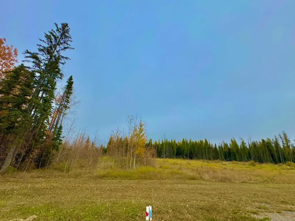400 Valley View Close Rural Clearwater County AB T4T 1A7