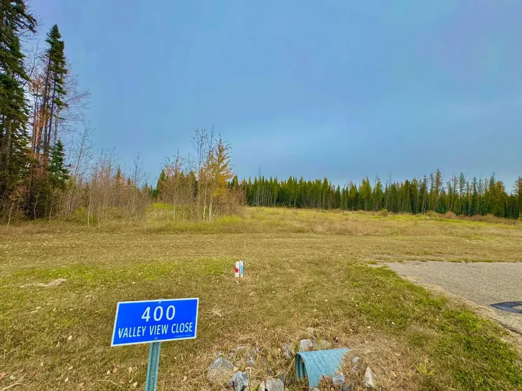 400 Valley View Close Rural Clearwater County AB T4T 1A7