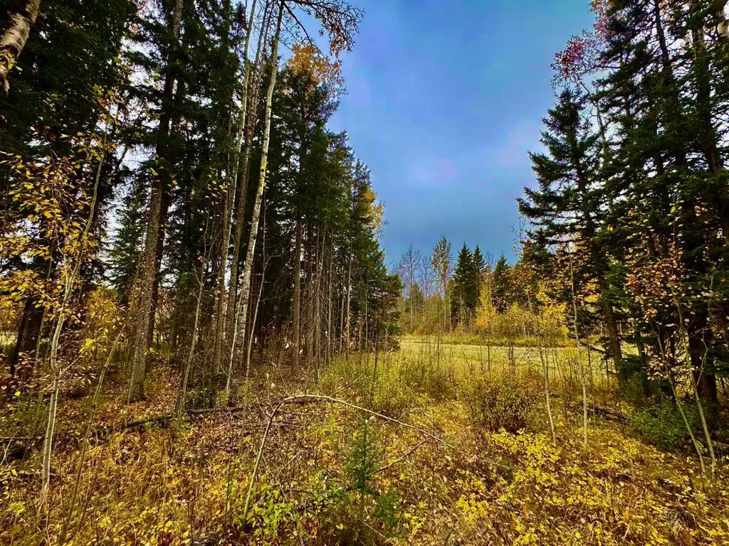 301 Valley View Drive Rural Clearwater County AB T4T 1A7