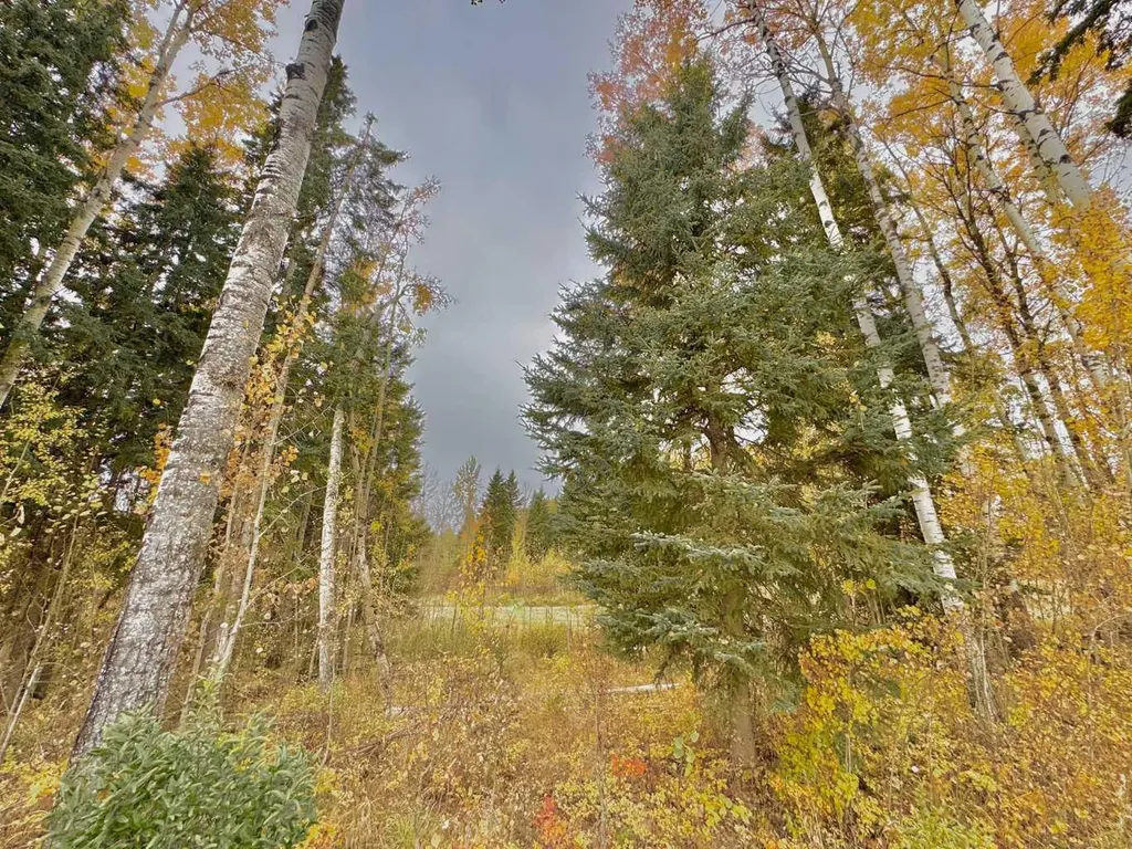 301 Valley View Drive Rural Clearwater County AB T4T 1A7