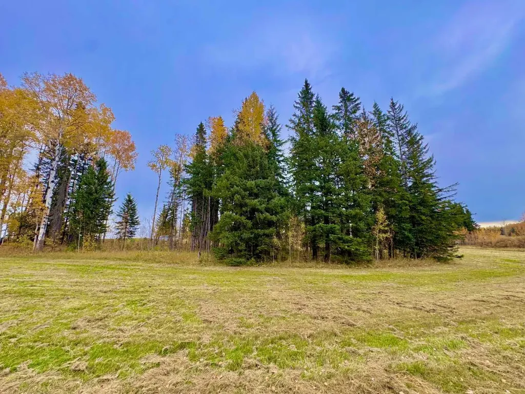 301 Valley View Drive Rural Clearwater County AB T4T 1A7