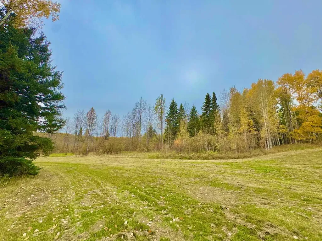 301 Valley View Drive Rural Clearwater County AB T4T 1A7