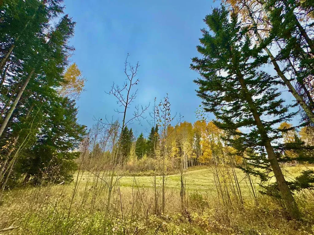 301 Valley View Drive Rural Clearwater County AB T4T 1A7