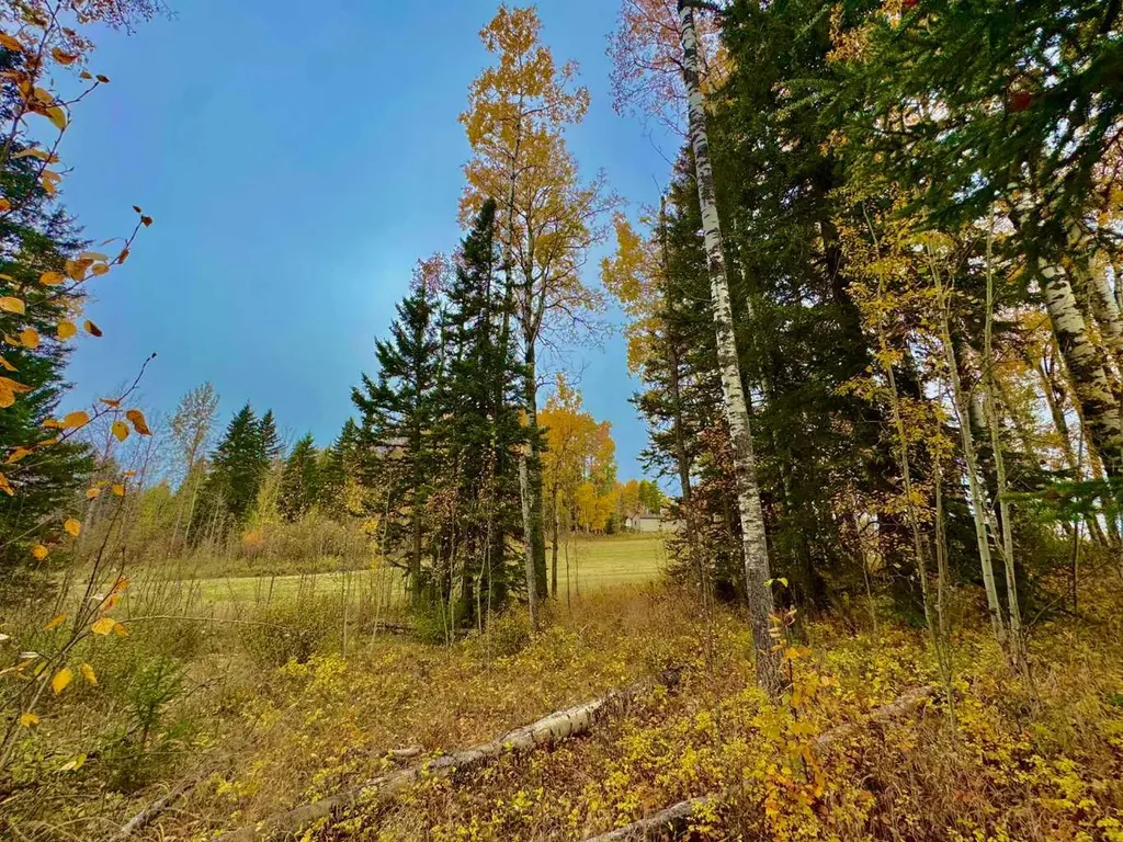 301 Valley View Drive Rural Clearwater County AB T4T 1A7